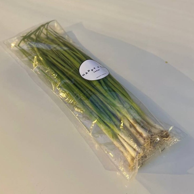 Spring Onion